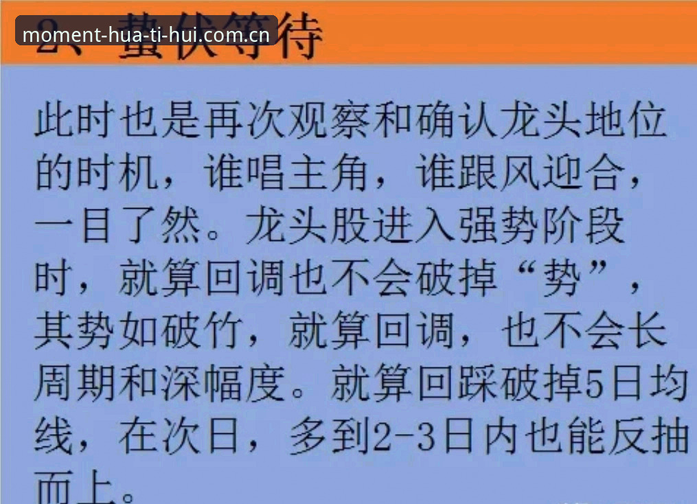 此刻即主场2025安卓版注册哪个好 避开注册那些坑:此刻即主场2025安卓版的选择实用指南